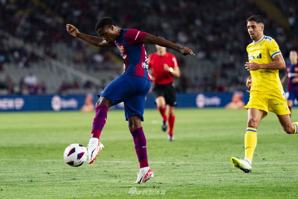 这些案例都 这些案例都